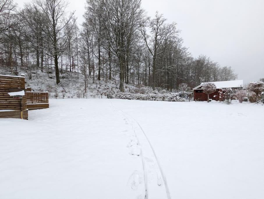 Beautiful And Cosy House Near The *
